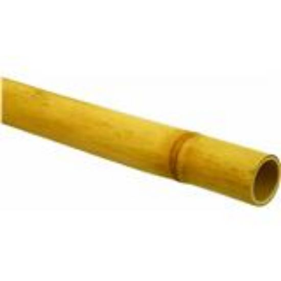 Picture of Bamboo 1-1/2" 1-3/4"