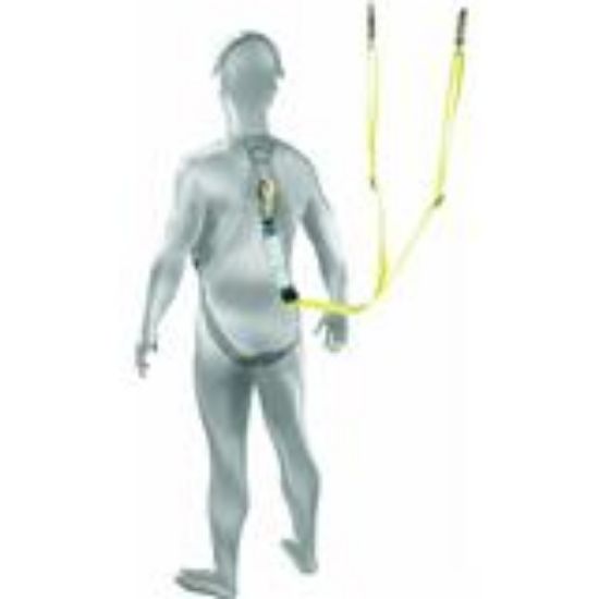 Picture of Dual Shock Lanyard