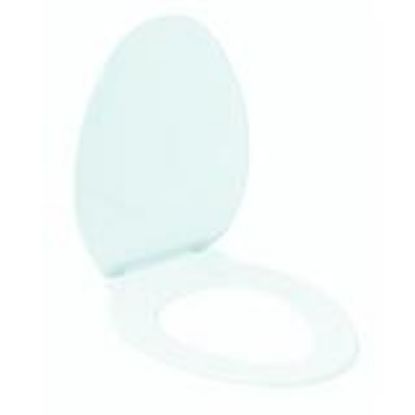 Picture of Toilet-Seat Plastic-Material Bone