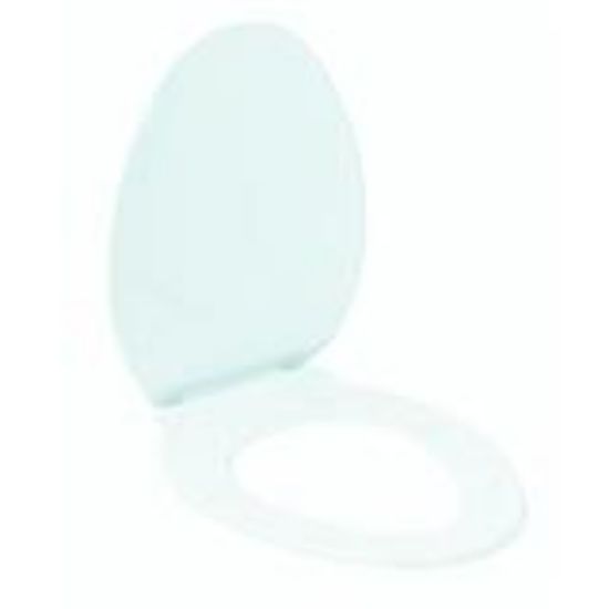 Picture of Toilet-Seat Plastic-Material Bone