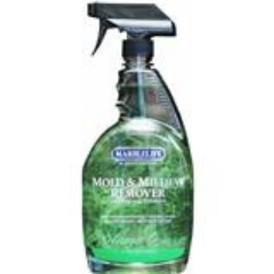 Picture of Mold Remover
