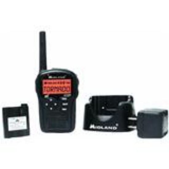 Picture of Portable Weather-Radio