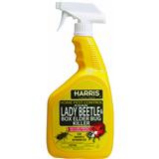 Picture of Asian Beetle And Box Elder Insect-Killer