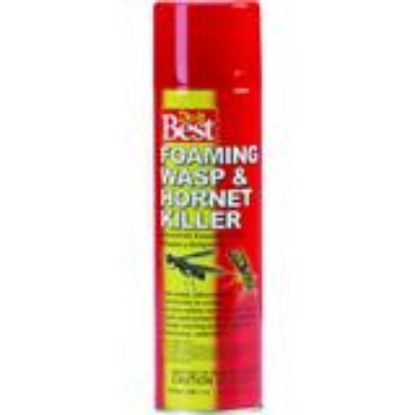 Picture of Foam Wasp&hornet Killer