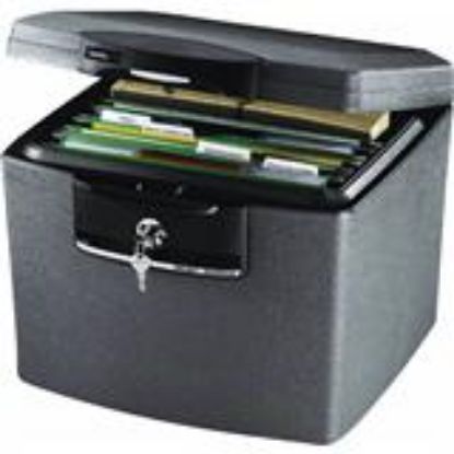 Picture of Security File