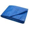 Picture of Blue Tarp 12 X 16