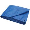 Picture of Blue Tarp 12 X 16