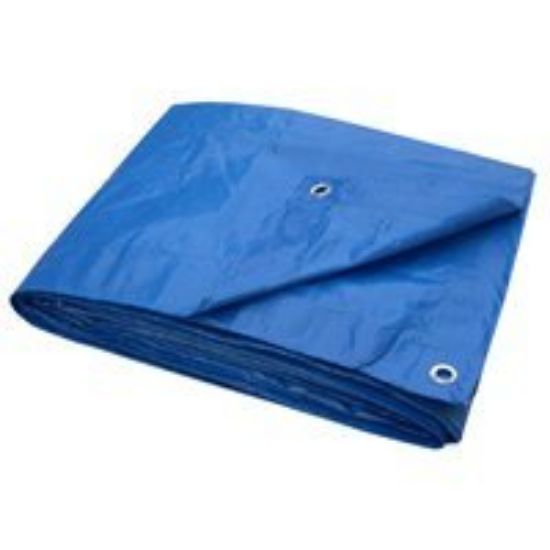 Picture of BLUE TARP 3 X 4