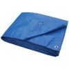 Picture of BLUE TARP 3 X 4