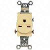 Picture of Single-Receptacle 15-Amp 125-Volt Double-Pole 3-Wire Grounding Ivory