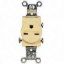 Picture of Single-Receptacle 15-Amp 125-Volt Double-Pole 3-Wire Grounding Ivory