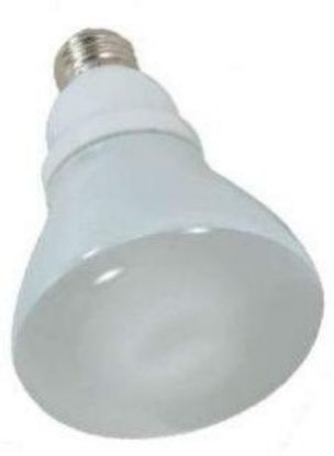 Picture of Light-Bulb R-30 2700