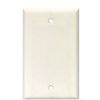 Picture of Wall-Plate Blank Plastic