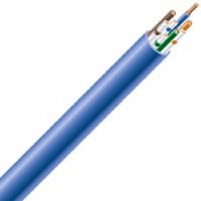 Picture of Cat5e Cable Plenum Rated Blue 1000'