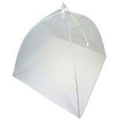 Picture of Food-Umbrella