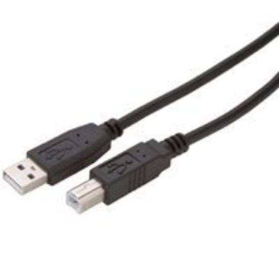 Picture of USB 2. AB 10' B