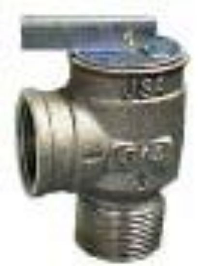 Picture of Relief-Valve Tankless Water-Heater 3/4" M X F