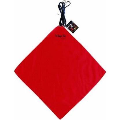 Picture of Transportation Safety-Flag 18" X 18" W/bungee Cord