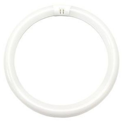 Picture of Light-Bulb Circline Fluorescent Fc12t9 Day 20030
