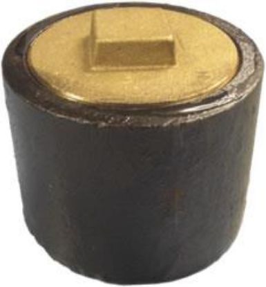 Picture of No-hub Clean-out Ferrule With-plug 2" X 1-1/2"
