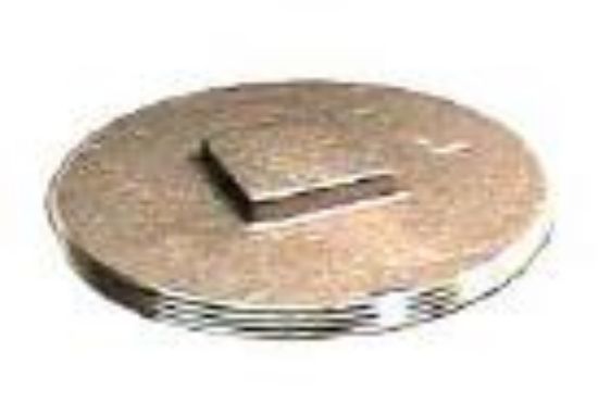Picture of 4" Clean-Out-Plug Raised-Head