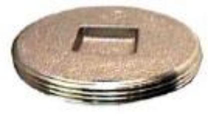 Picture of 4" Clean-Out-Plug Countersunk