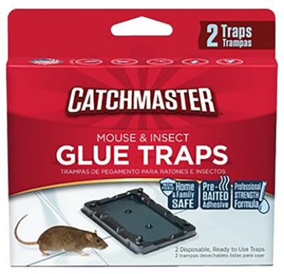 Picture of Mouse-trap Glue-trap