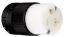 Picture of 20-Amp 125-Volt Black 3-Wire Grounding Electrical-Connector