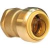 Picture of 1" Female Push-Fit Adapter Forged Brass Pf X Fpt