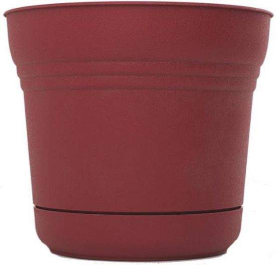 Picture of 5" Saturn Planter Union Red