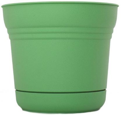 Picture of 5" Saturn Planter Fresh Green