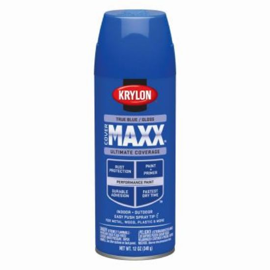 Picture of Cover Maxx True Blue Paint With Rust Protection