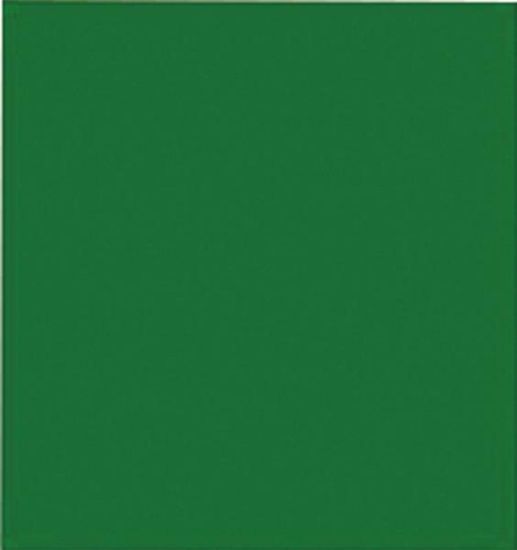 Picture of Tissue-Paper 20" X 20" Green