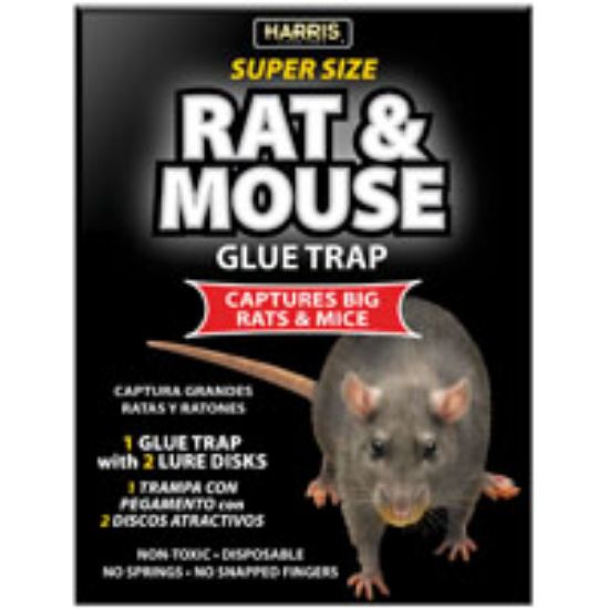 Picture of Glue-Trap 1 Pack City Rat-Size 7" X 12"
