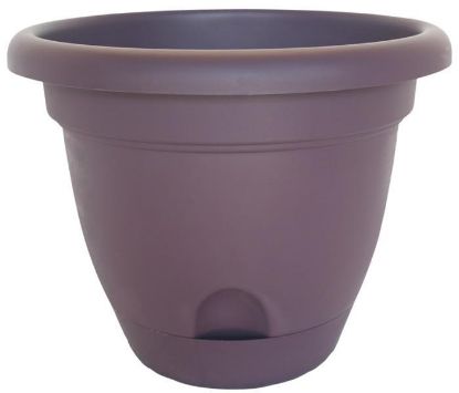 Picture of Self-Watering 6" Planter Exotica Lucca