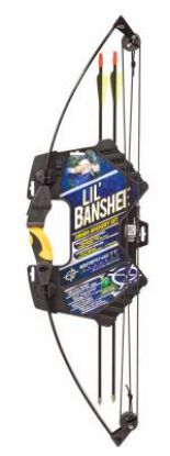 Picture of Youth Compound Bow With Arrows And Accessories