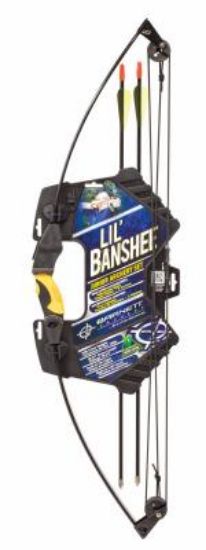 Picture of Youth Compound Bow With Arrows And Accessories