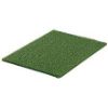 Picture of Door-Mat Astro-turf 30" X 18" Spruce Green