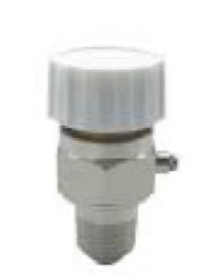 Picture of 1/8 Automatic Hot Water/ Steam-Vent