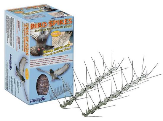 Picture of Bird Spikes 10'