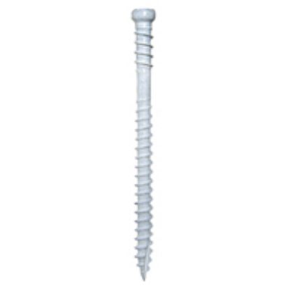 Picture of White Trim Screw #8 x 2-1/2"