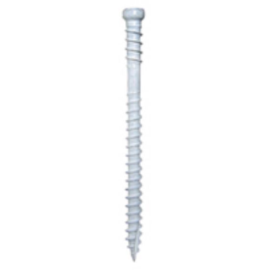 Picture of White Trim Screw #8 x 2-1/2"
