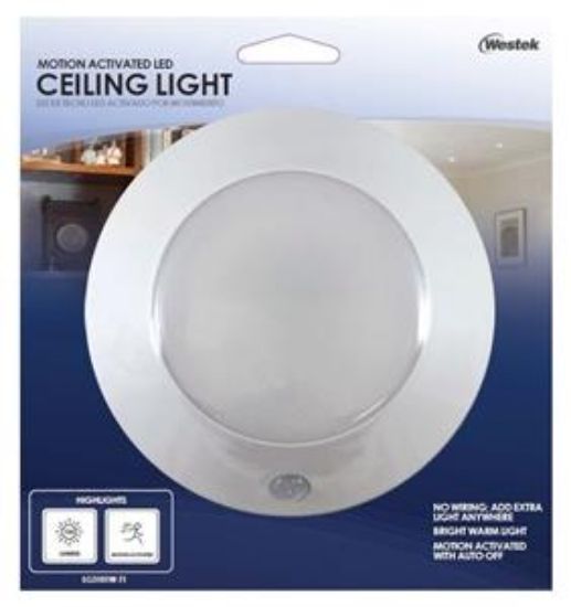 Picture of Light-Fixture Ceiling-Mount 3 C Batteries 125 Lumens Motion-Sensor Sensing