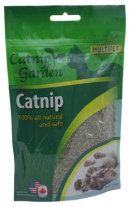 Picture of Cat Nip Gdn Oz Catnip