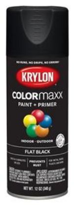 Picture of Paint-&-primer Indoor-&-outdoor Black