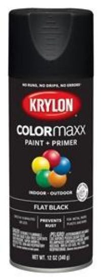 Picture of Paint-&-primer Indoor-&-outdoor Black
