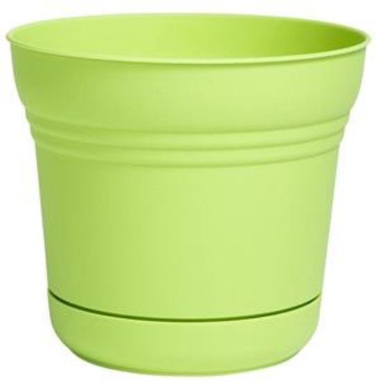 Picture of Saturn Planter 5"- Honey Dew