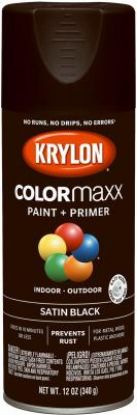 Picture of Paint-&-Primer Indoor-&-Outdoor Black