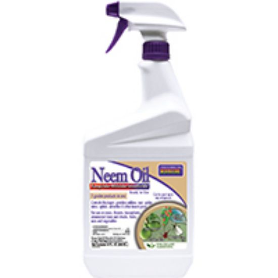 Picture of Neem Oil Neem Oil