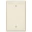 Picture of Wall-Plate Blank Mid-size X 3-1/2 In W X 1/4 In D 0.08 In Thick Light Almond
